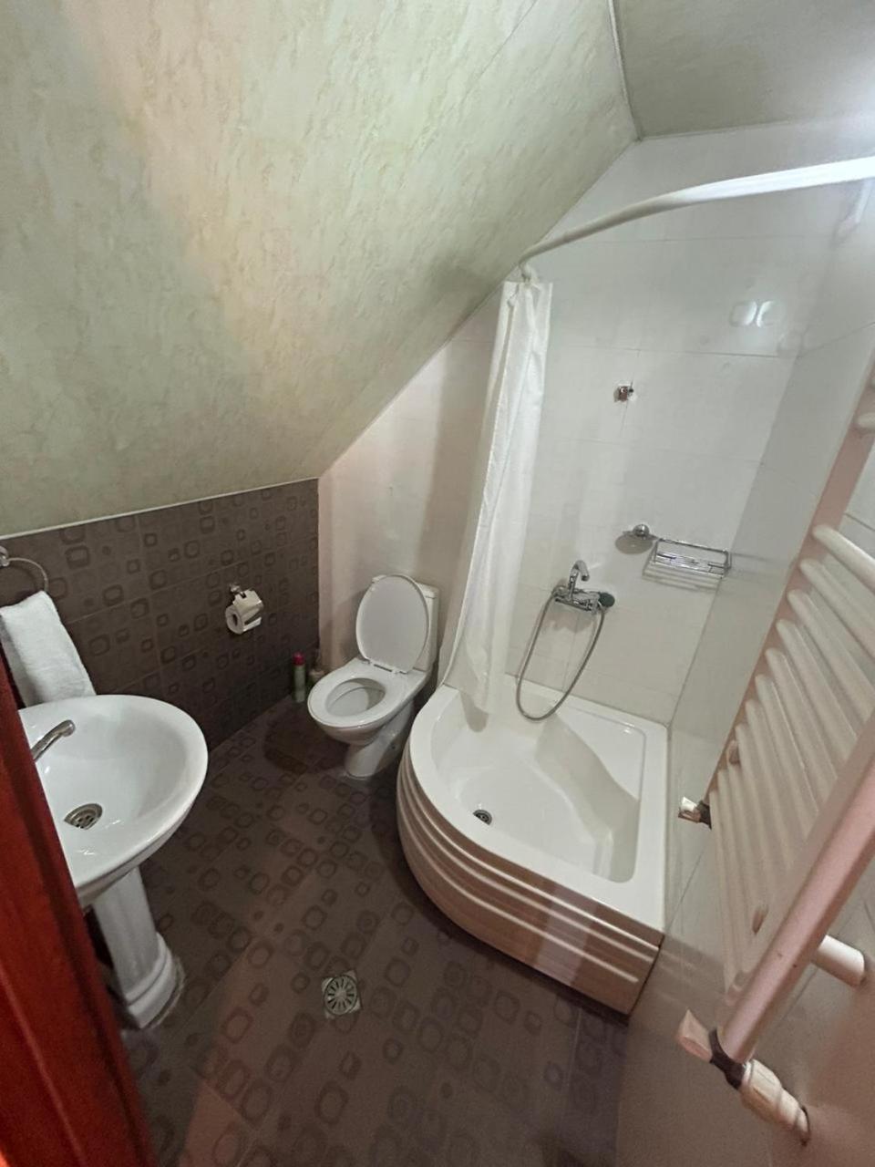 New Shino Gudauri Hotel Ngoại thất bức ảnh